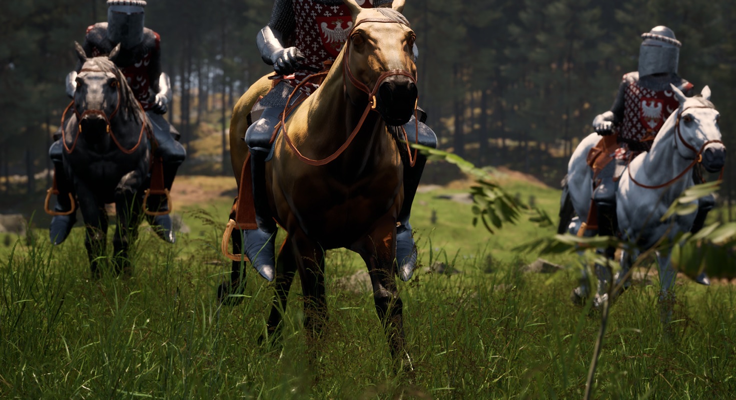 Renown Server Hosting